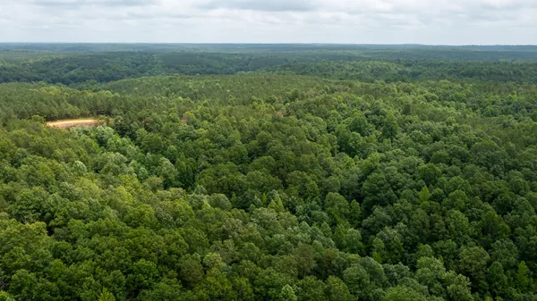 an aerial view of residential houses with outdoor space and trees