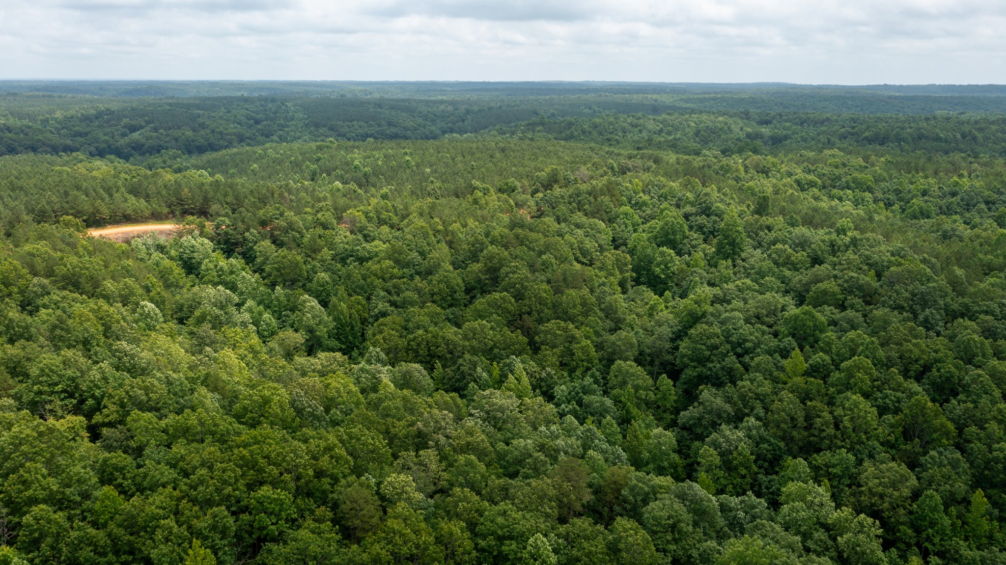 0 Old Mail Road Duck River, TN 38454 - Photo 11 of 27 an aerial view of residential houses with outdoor space and trees