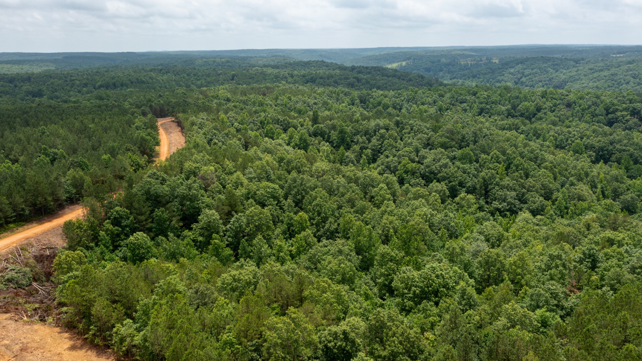 0 Old Mail Road Duck River, TN 38454 - Photo 12 of 27 a view of a field
