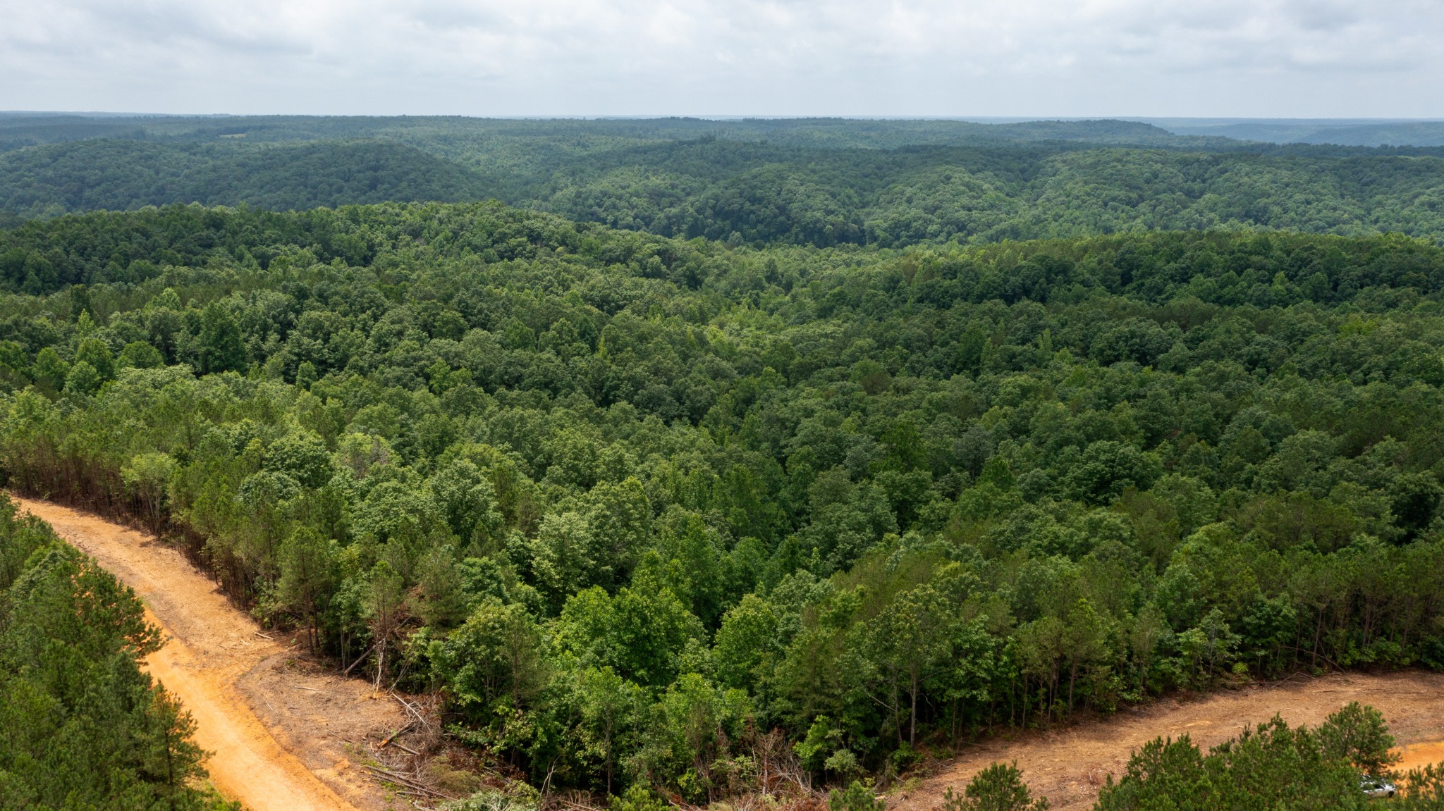 0 Old Mail Road Duck River, TN 38454 - Photo 13 of 27 a view of a forest with a house