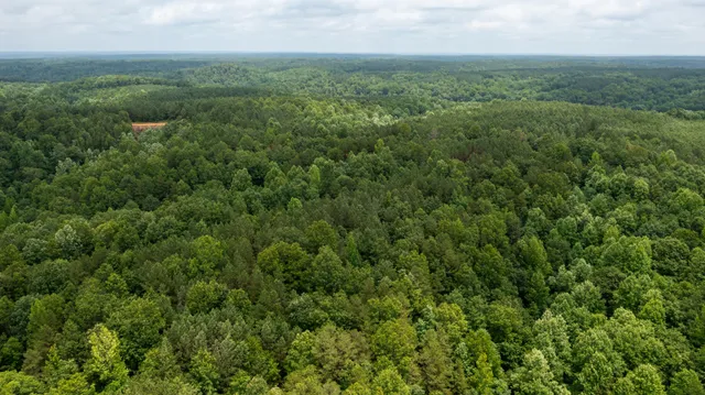 an aerial view of residential houses with outdoor space and trees