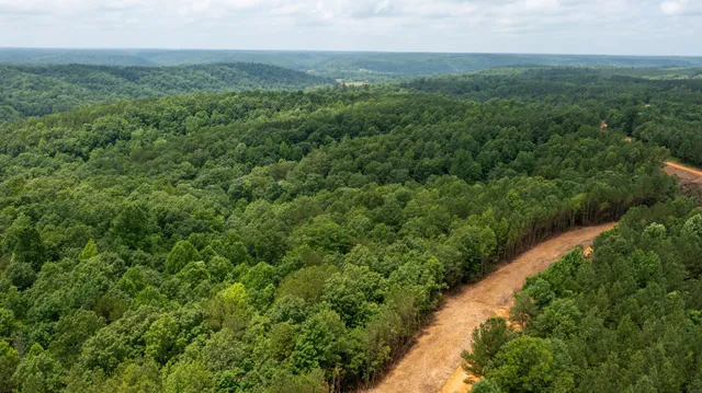 an aerial view of a houses with a yard