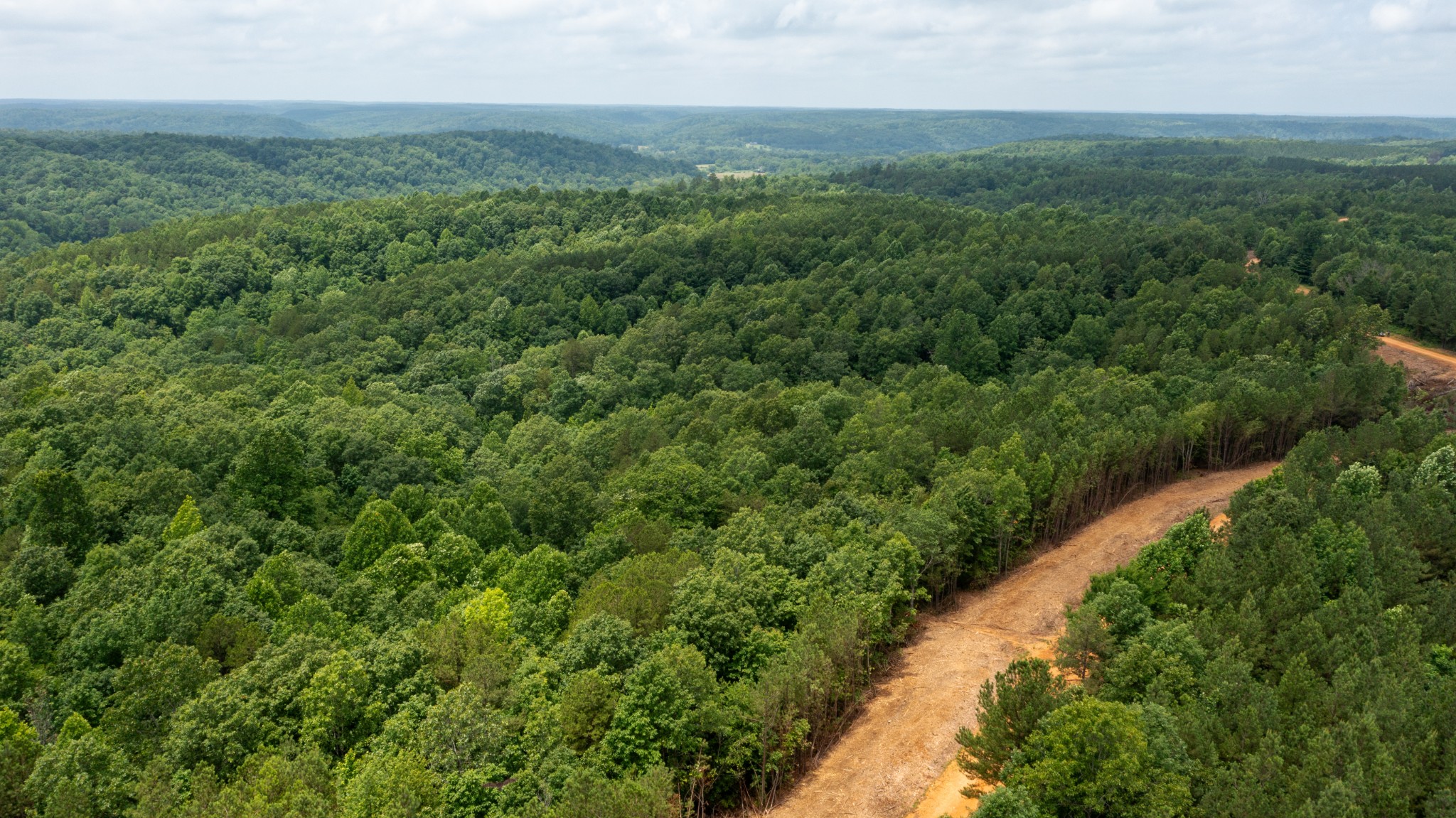 0 Old Mail Road Duck River, TN 38454 - Photo 15 of 27 an aerial view of a houses with a yard