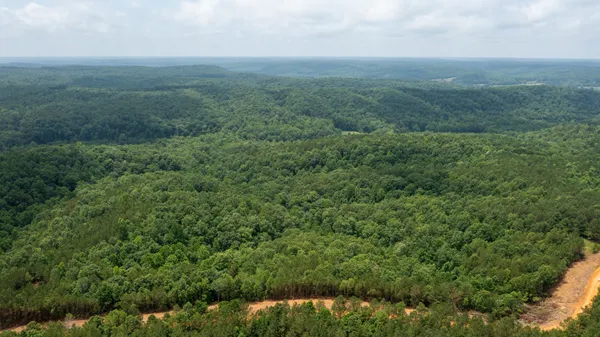 a view of a field of grass and trees