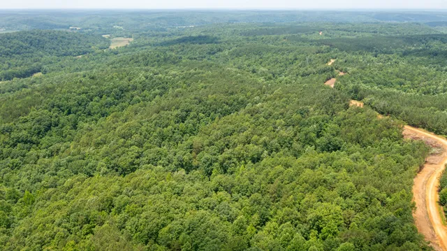a view of a field of grass and trees