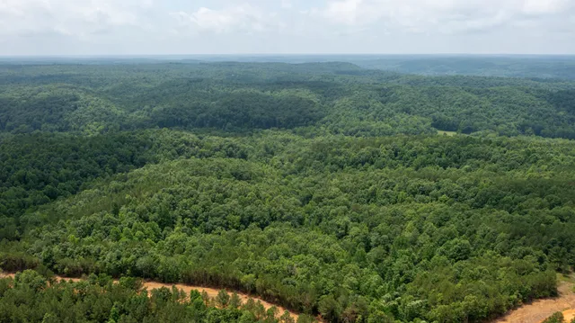 an aerial view of residential houses with outdoor space and trees