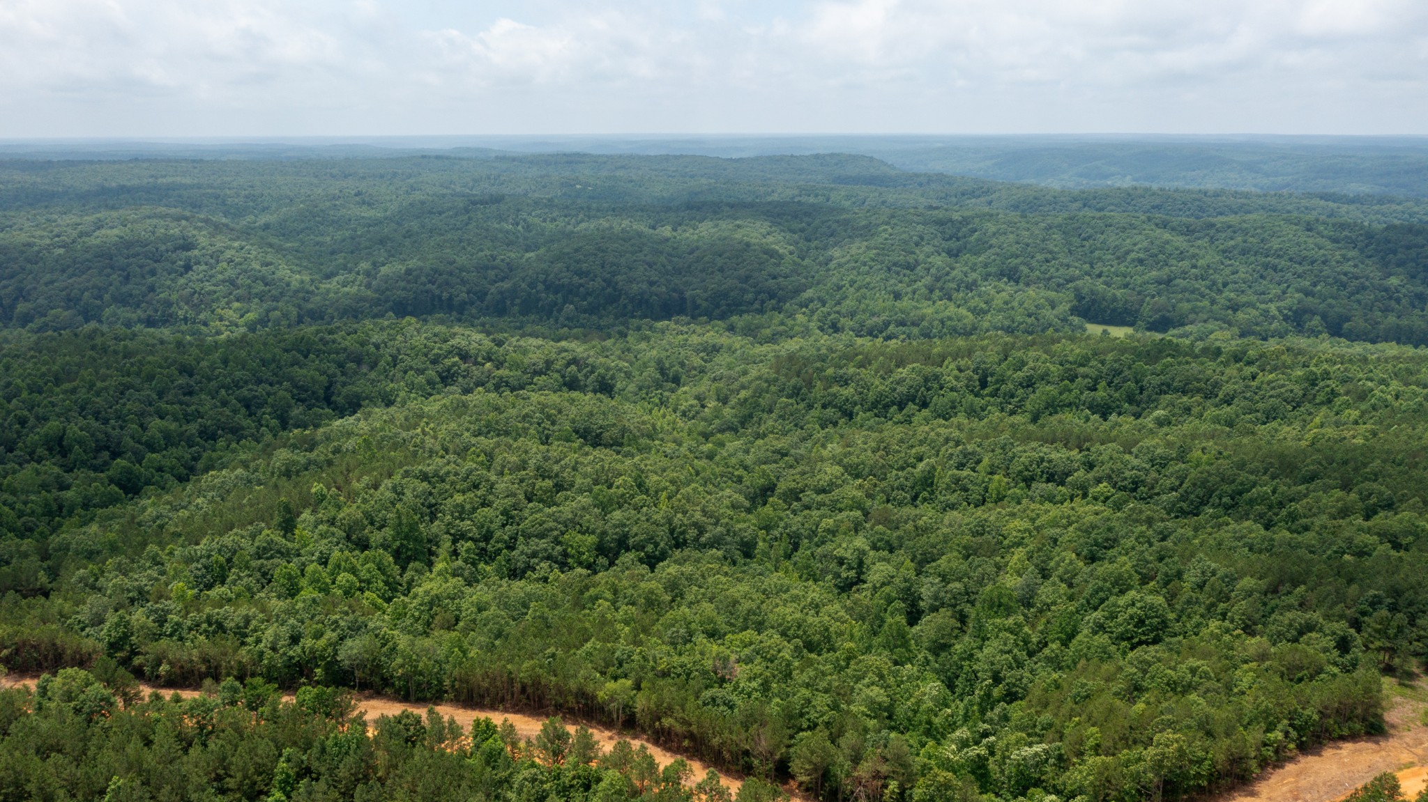 0 Old Mail Road Duck River, TN 38454 - Photo 19 of 27 a view of a field of grass and trees