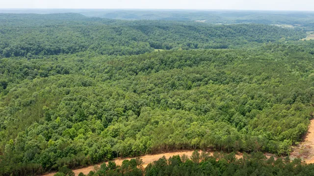 a view of a green field with lots of bushes