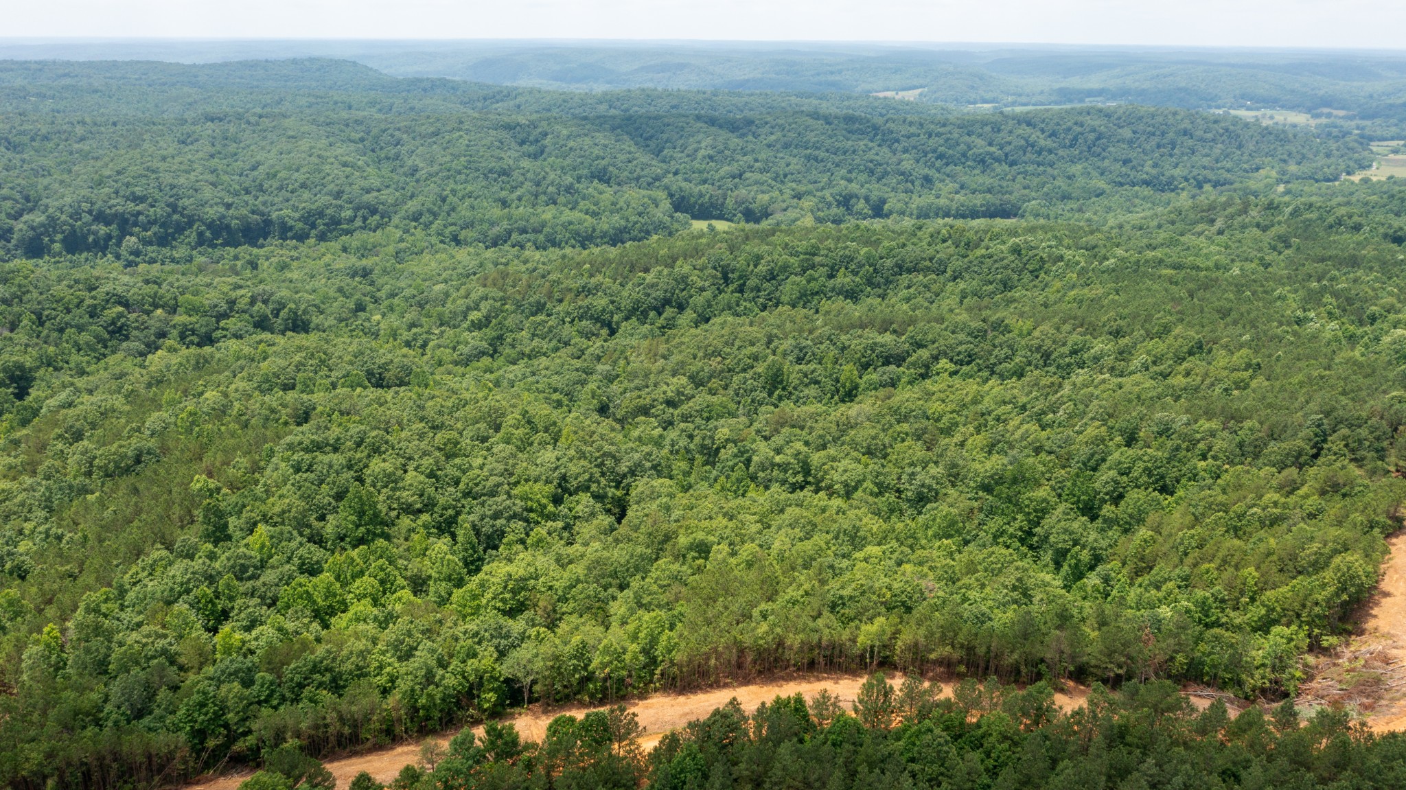 0 Old Mail Road Duck River, TN 38454 - Photo 2 of 27 a view of a green field with lots of bushes