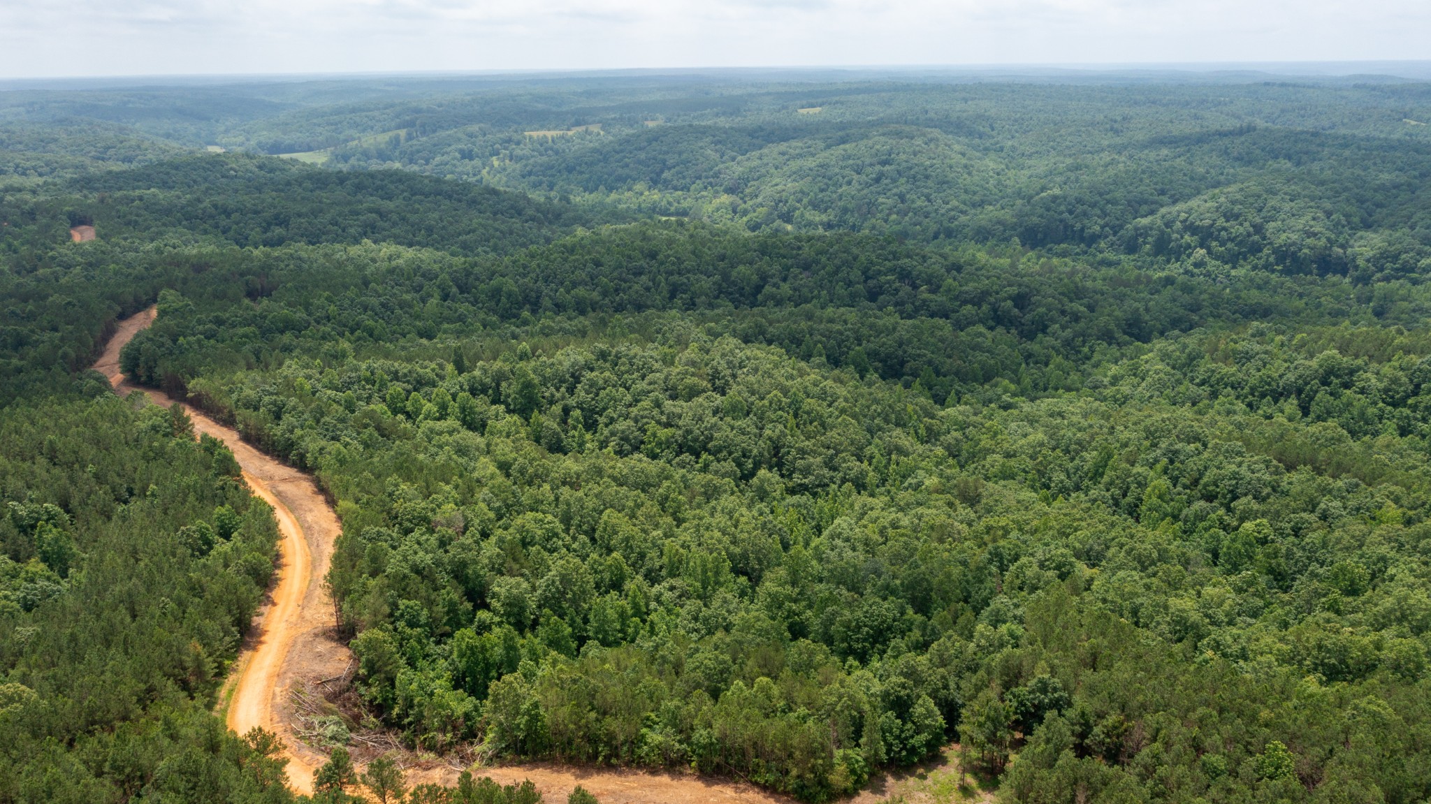 0 Old Mail Road Duck River, TN 38454 - Photo 21 of 27 a view of a forest with a street