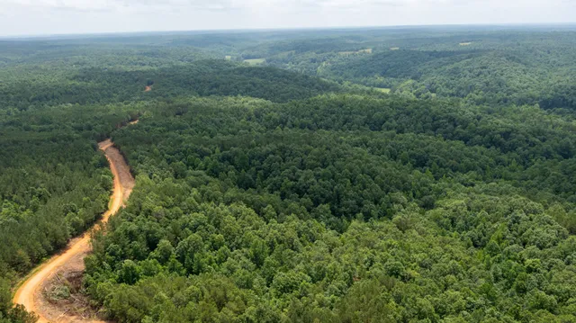 a view of a green field with lots of trees