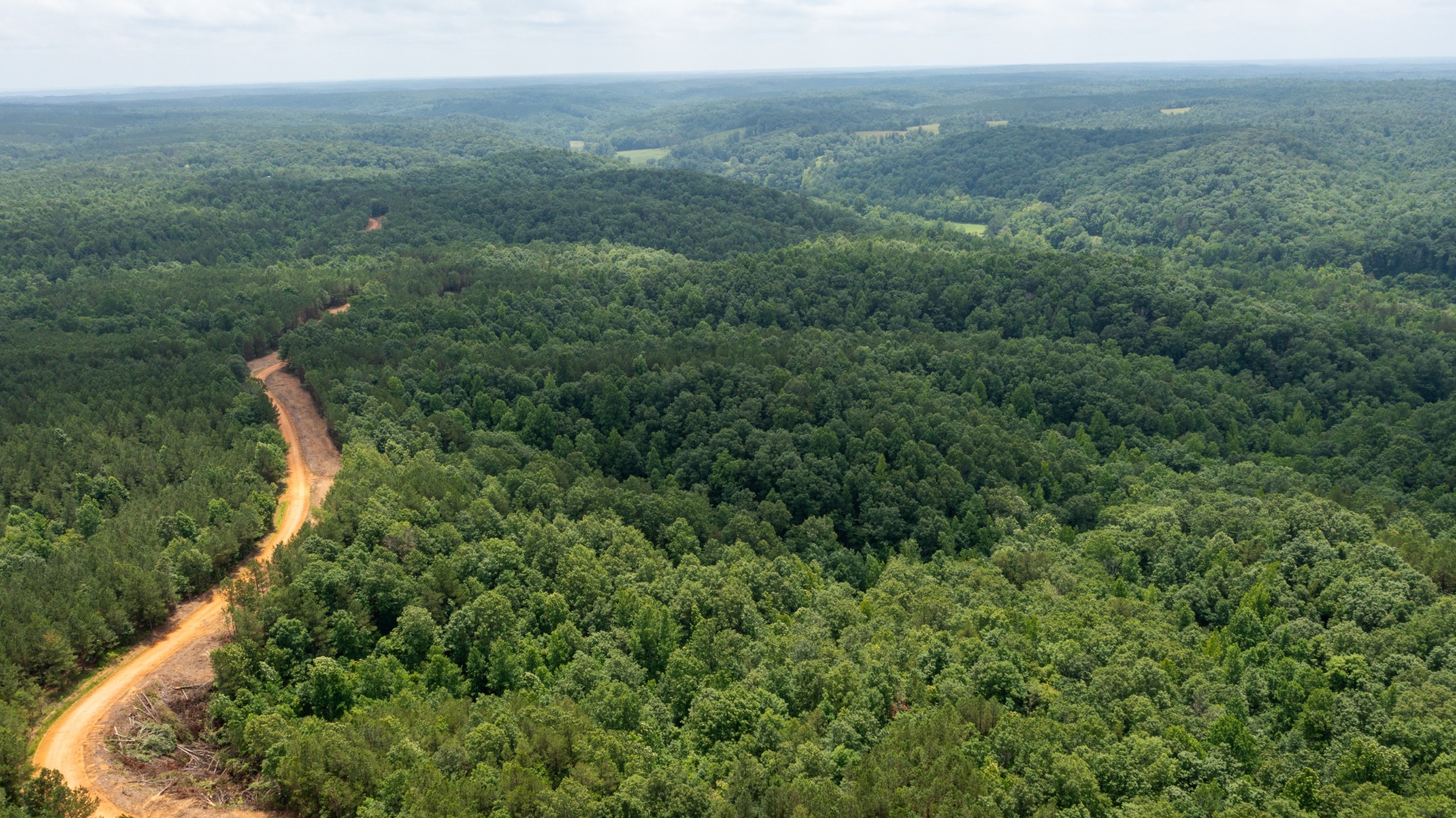 0 Old Mail Road Duck River, TN 38454 - Photo 22 of 27 a view of a forest with a street