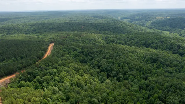 a view of a lush green forest with trees and some houses