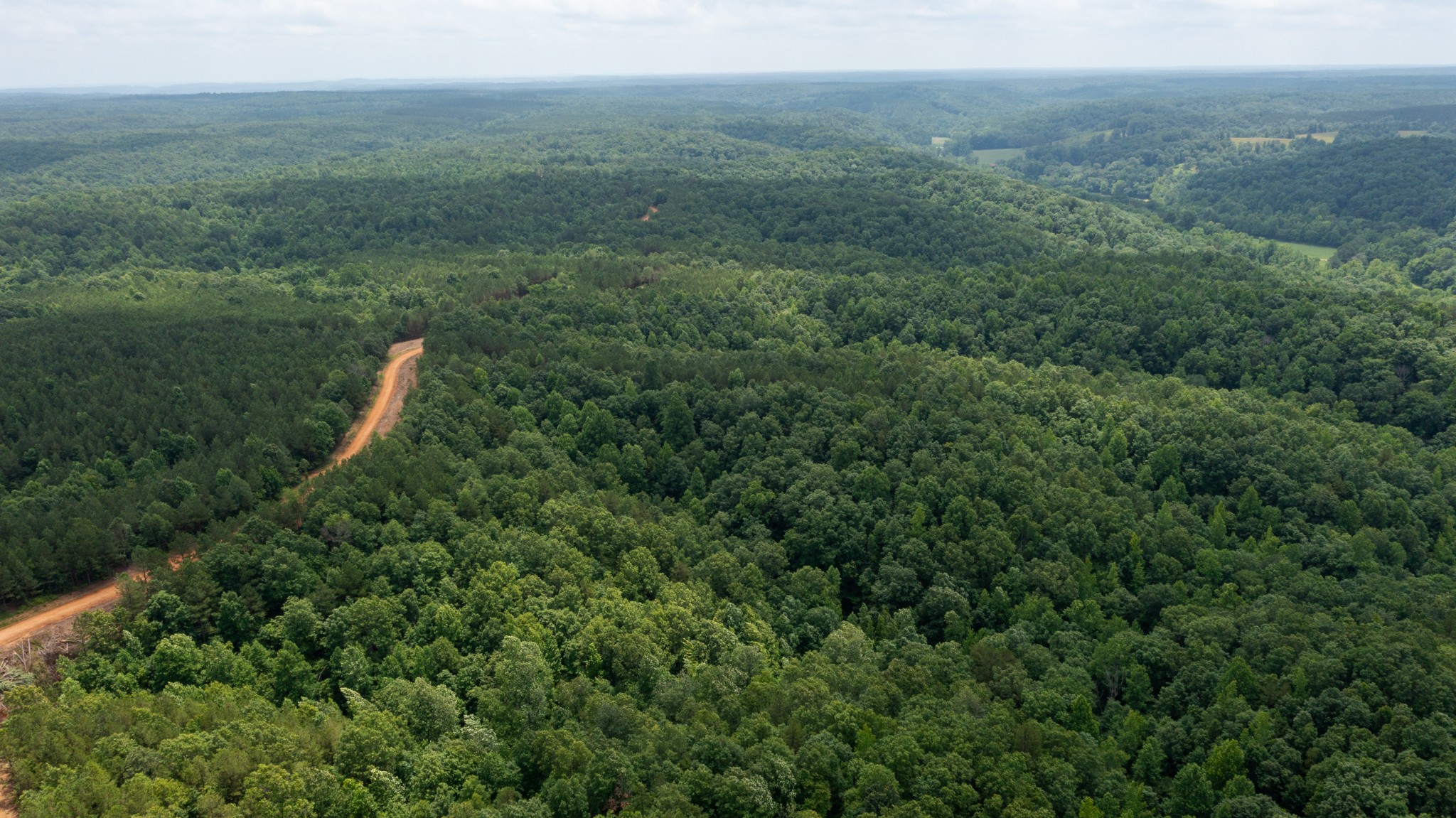 0 Old Mail Road Duck River, TN 38454 - Photo 23 of 27 a view of a green field with lots of trees