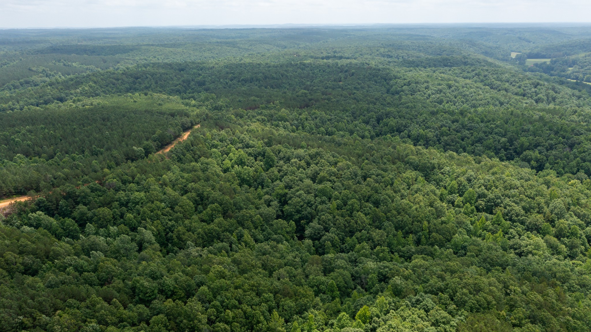 0 Old Mail Road Duck River, TN 38454 - Photo 24 of 27 a view of a lush green forest with trees and some houses