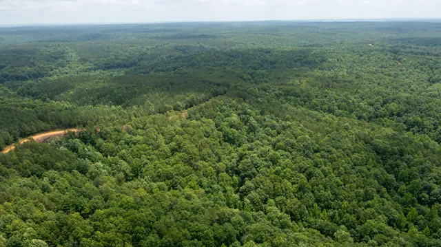a view of a green field with lots of bushes