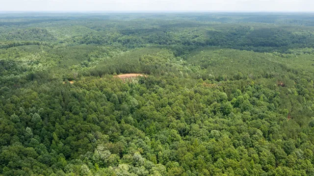 a view of a green field with lots of bushes