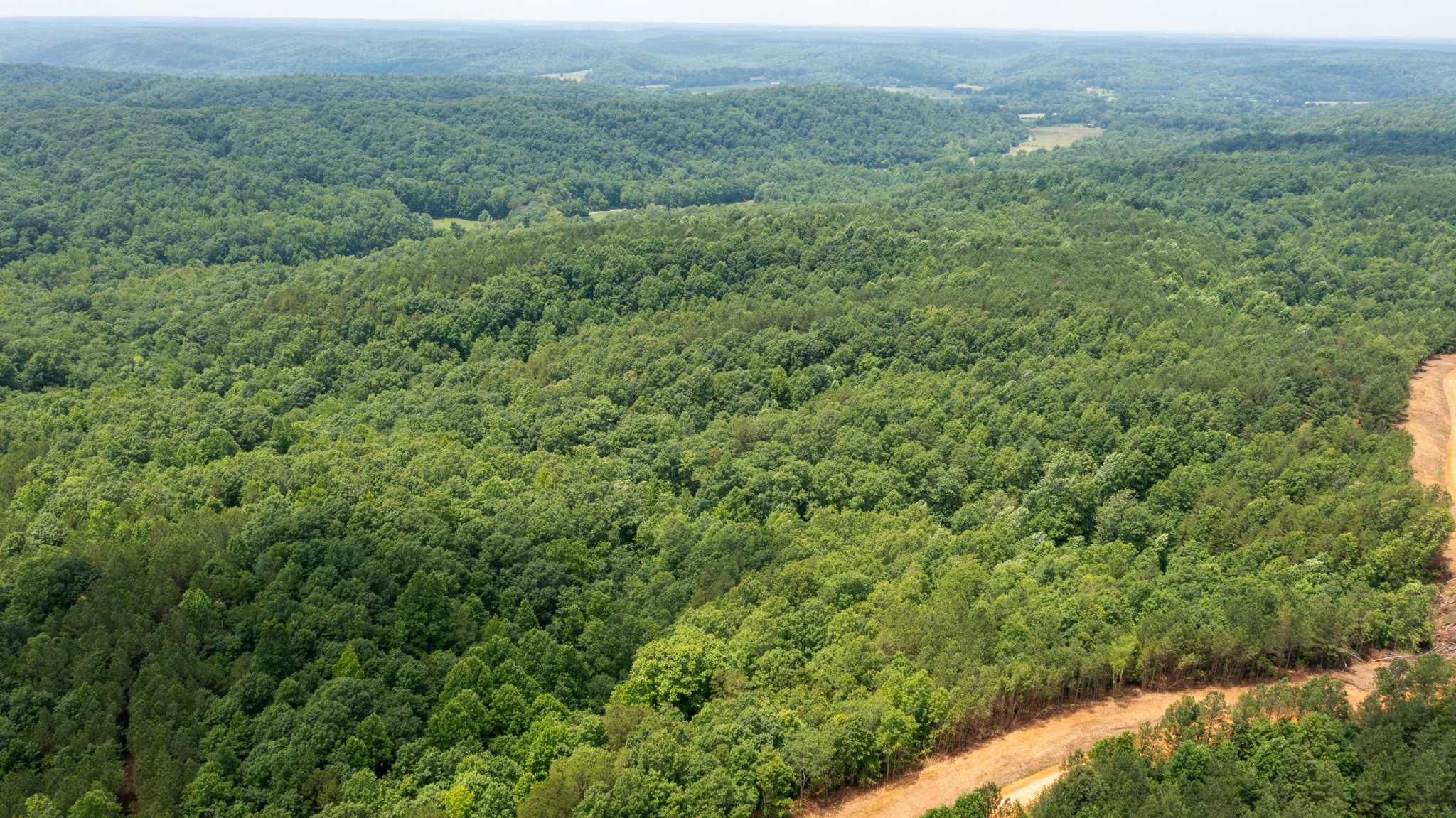 0 Old Mail Road Duck River, TN 38454 - Photo 27 of 27 a view of a green field with lots of bushes