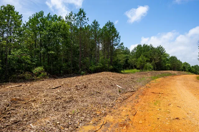 a view of a backyard of the house