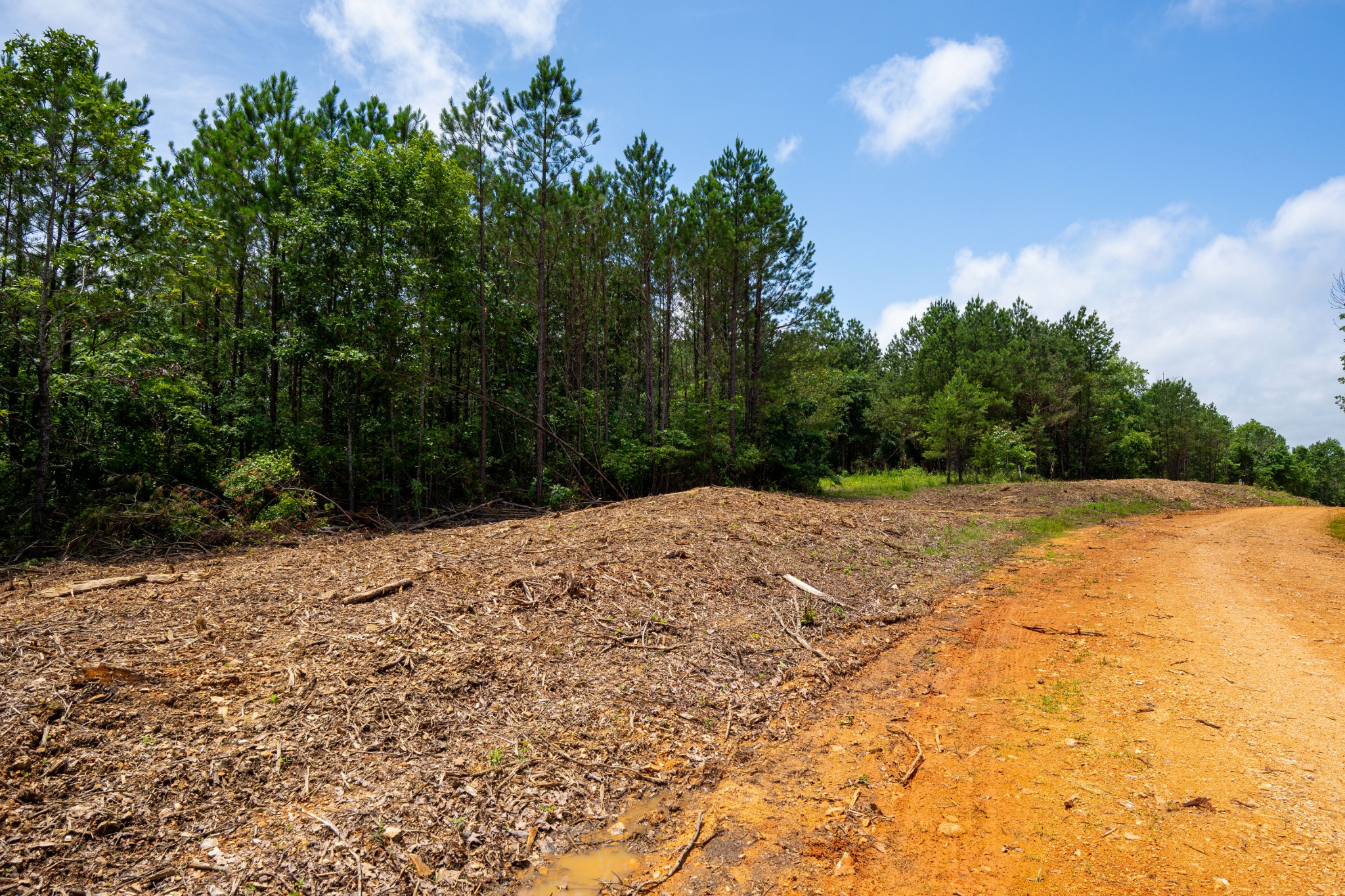 0 Old Mail Road Duck River, TN 38454 - Photo 3 of 27 a view of a backyard of the house
