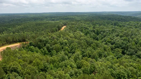 a view of a field of grass and trees