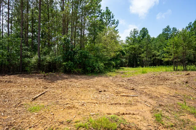 a view of empty space with trees