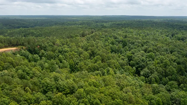 an aerial view of residential houses with outdoor space and trees