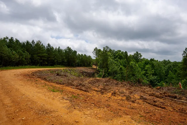 a view of a dry yard with wooden fence