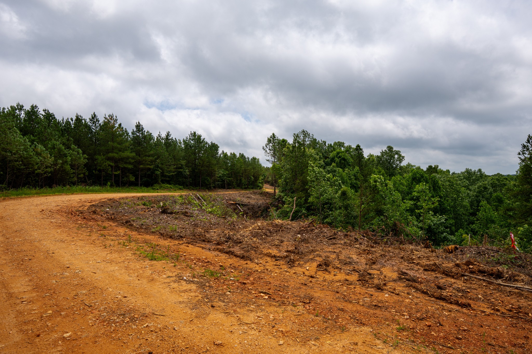 0 Old Mail Road Duck River, TN 38454 - Photo 8 of 27 a view of a dry yard with wooden fence