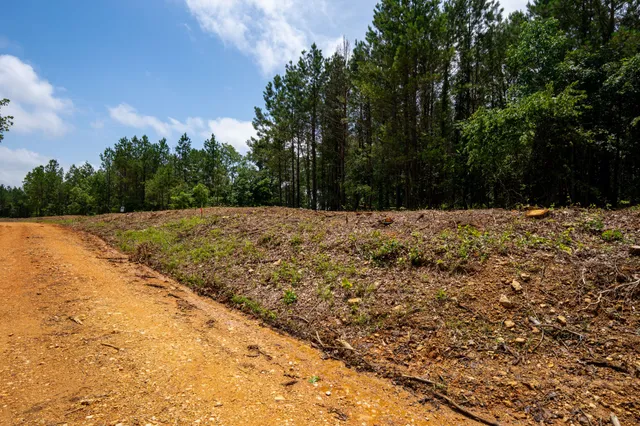a view of a covered with snow on the road