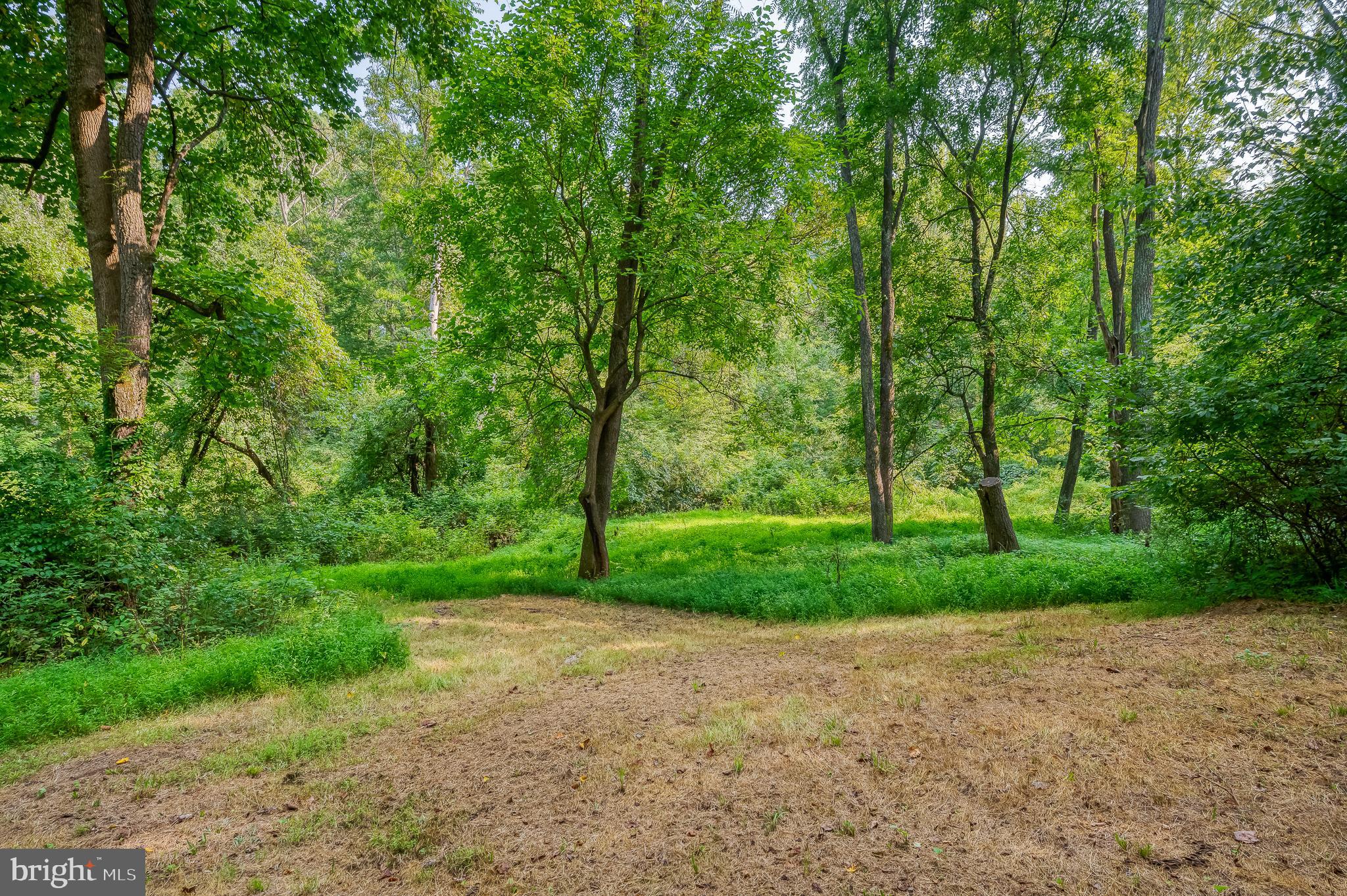 8019 Yellowstone Road Kingsville, MD 21087 - Photo 23 of 115 Additional 9.14 acre lot included with sale