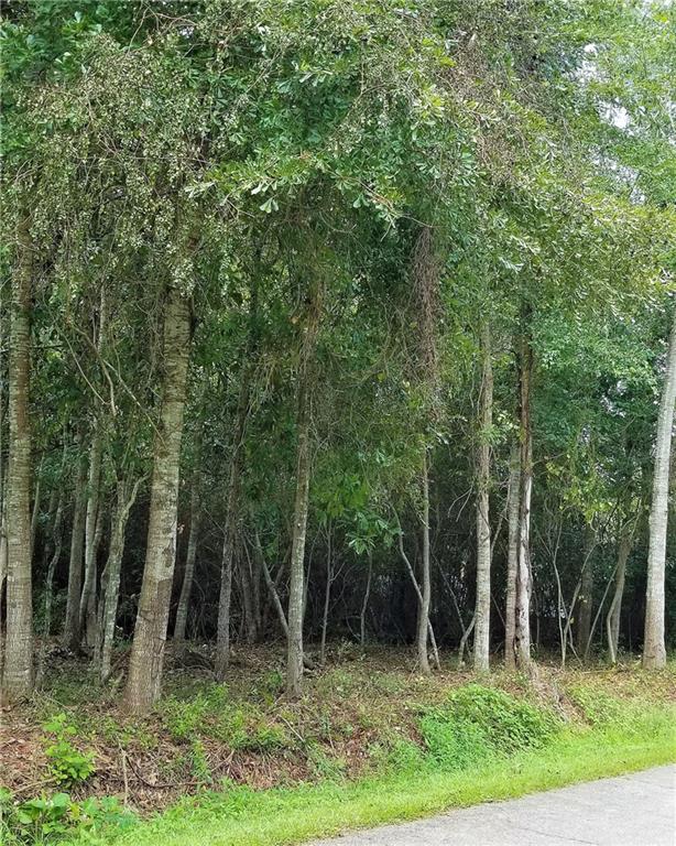 Lot 11 Shady Pine Road Lacombe, LA 70445 - Photo 1 of 1 Gallery Image 1