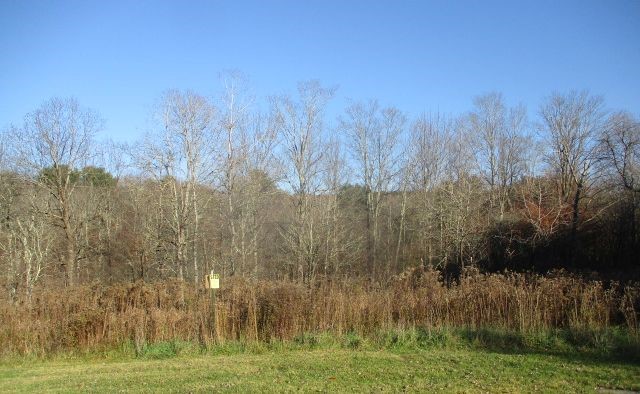 162 Merrill Creek Road Marathon, NY 13803 - Photo 7 of 37 Gallery Image 7
