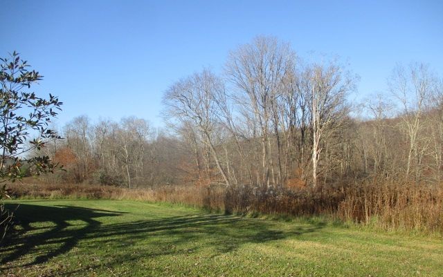 162 Merrill Creek Road Marathon, NY 13803 - Photo 8 of 37 Gallery Image 8