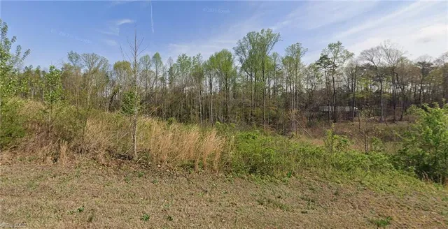 $85,000 | 7443 Birchbend Lane, Unit LOT 4, Lewisville, NC 27023