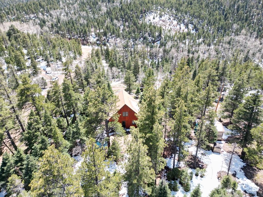 9783 Highway 165 Rye, CO 81069 - Photo 48 of 52 Gallery Image 48
