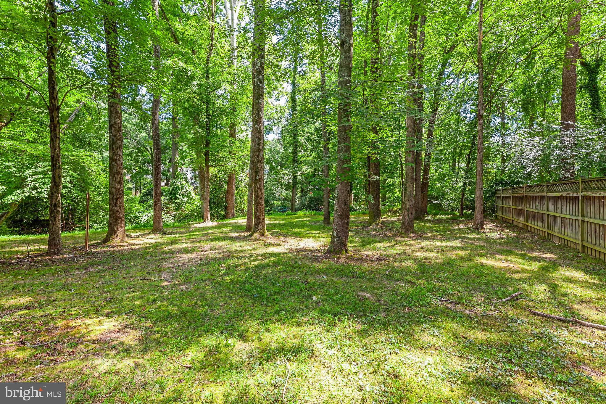 4409 Henderson Road Temple Hills, MD 20748 - Photo 64 of 73 Gallery Image 64