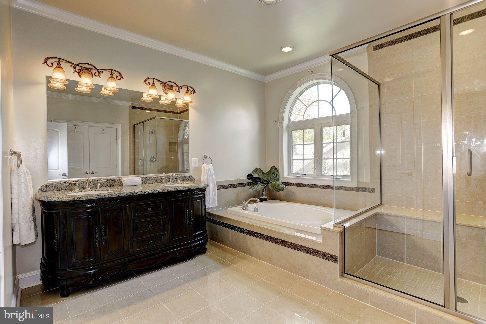 5839 Trotter Road Columbia, MD 21044 - Photo 28 of 56 Luxury Master Bath