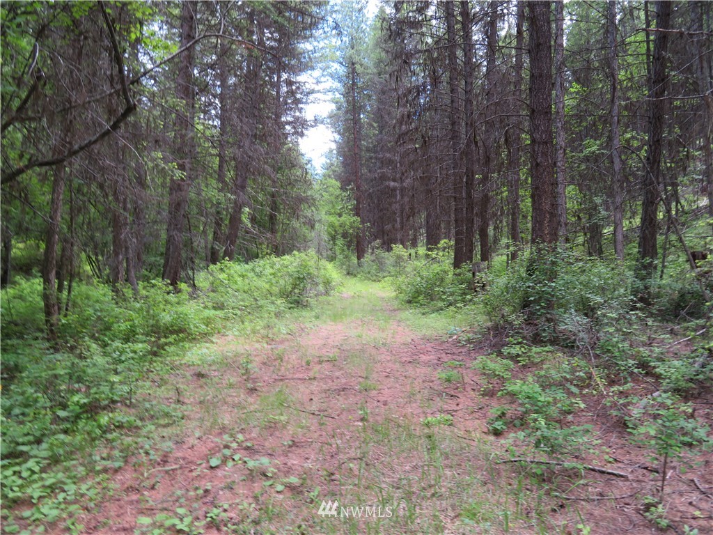 0 Willy's Gulch Road Curlew, WA 99118 - Photo 2 of 16 Gallery Image 2