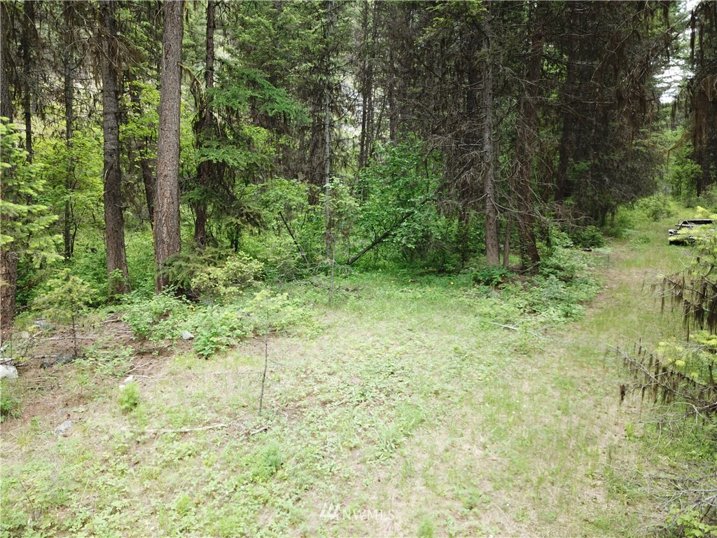 0 Willy's Gulch Road Curlew, WA 99118 - Photo 3 of 16 Gallery Image 3