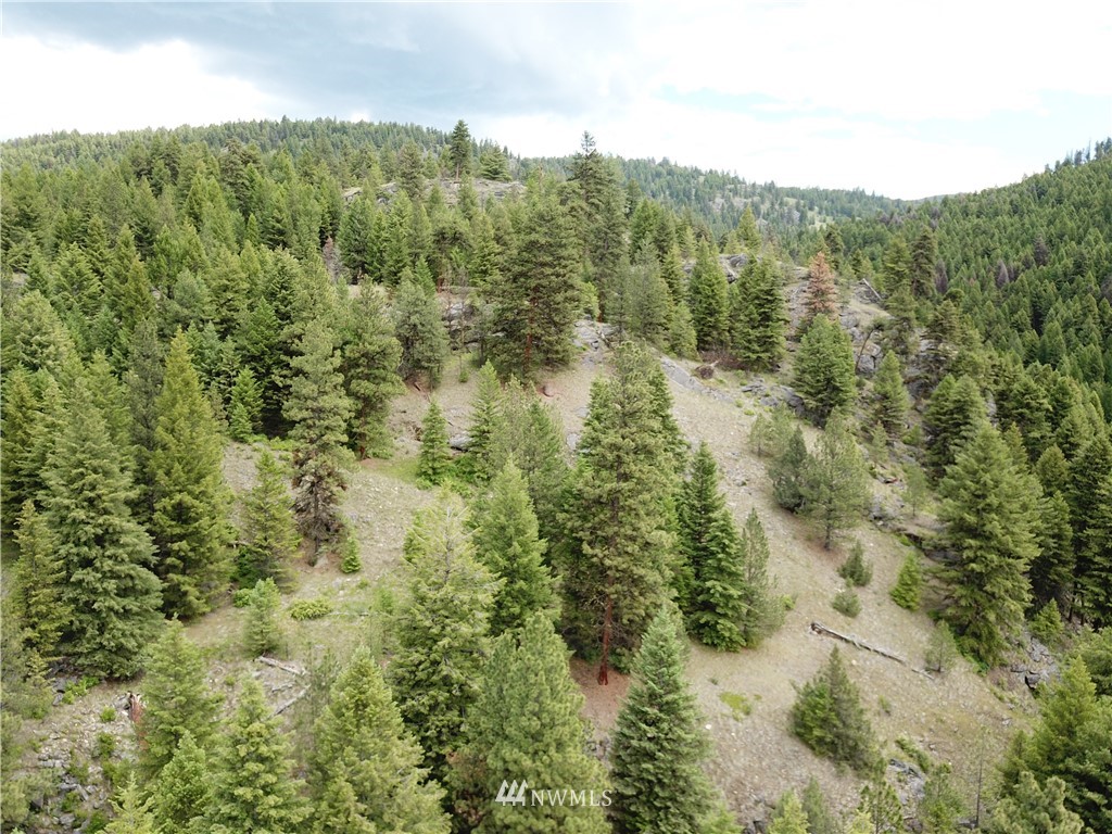 0 Willy's Gulch Road Curlew, WA 99118 - Photo 4 of 16 Gallery Image 4