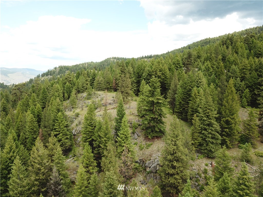 0 Willy's Gulch Road Curlew, WA 99118 - Photo 6 of 16 Gallery Image 6