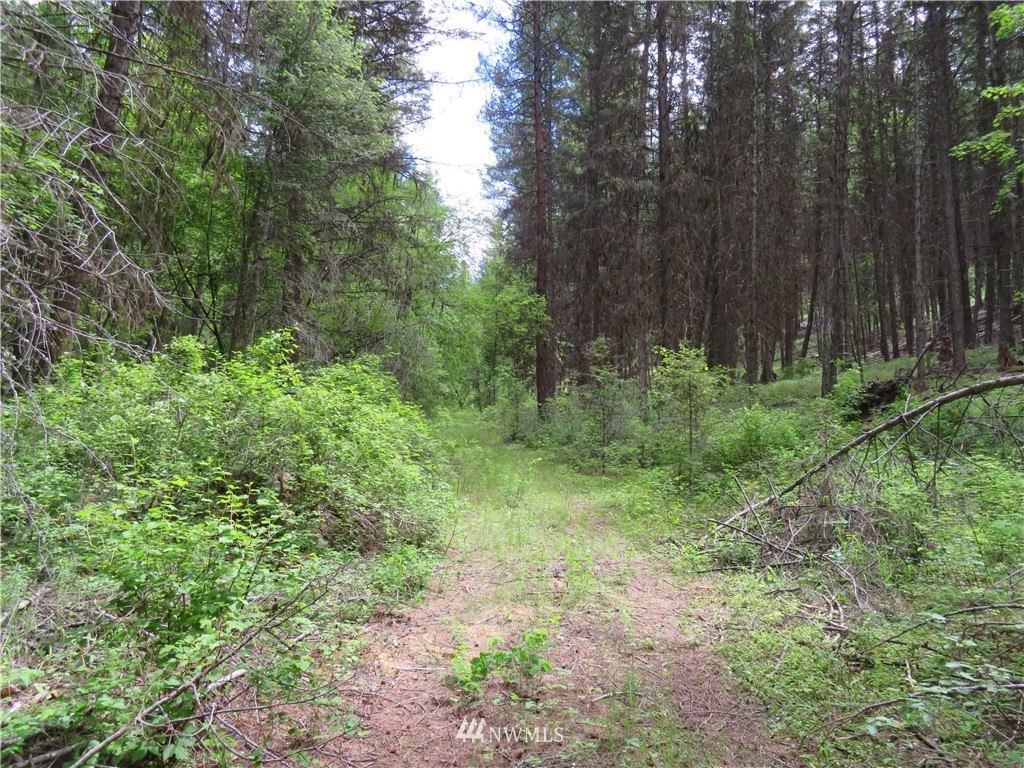 0 Willy's Gulch Road Curlew, WA 99118 - Photo 7 of 16 Gallery Image 7