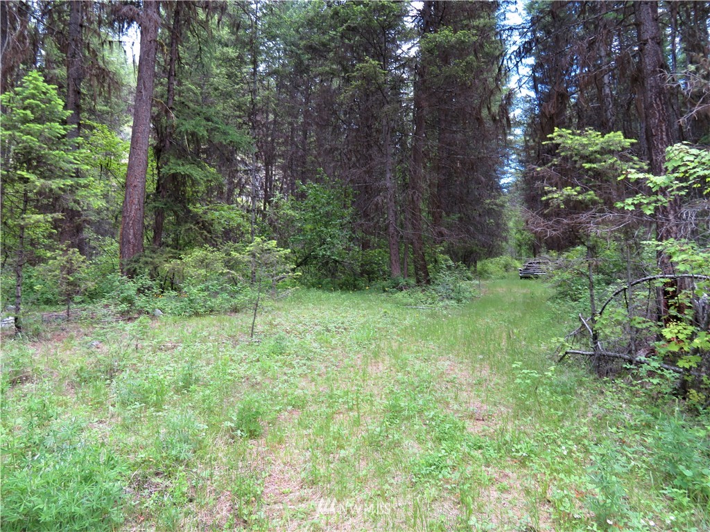 0 Willy's Gulch Road Curlew, WA 99118 - Photo 8 of 16 Gallery Image 8