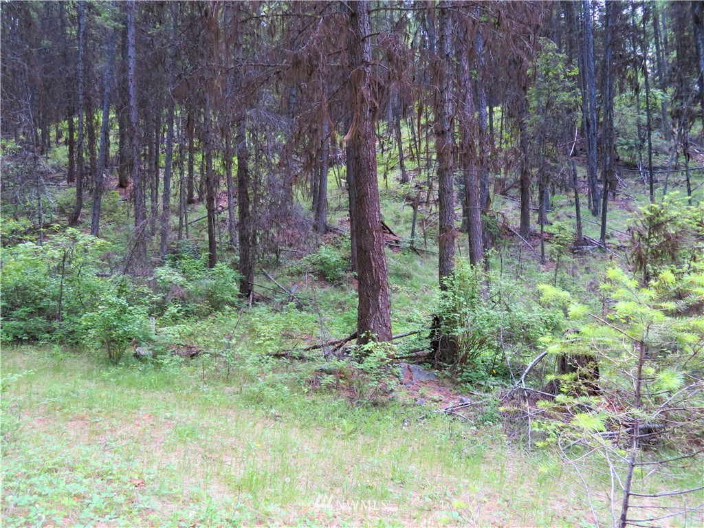 0 Willy's Gulch Road Curlew, WA 99118 - Photo 10 of 16 Gallery Image 10