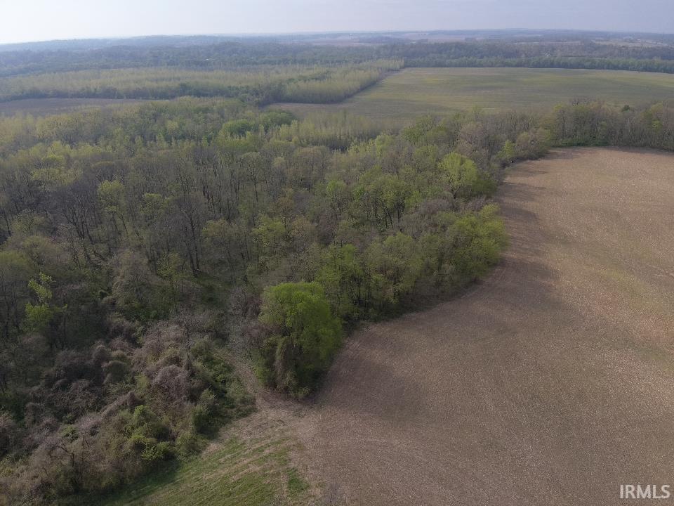 498 Dicksburg Hills Road Decker, IN 47524 - Photo 11 of 14