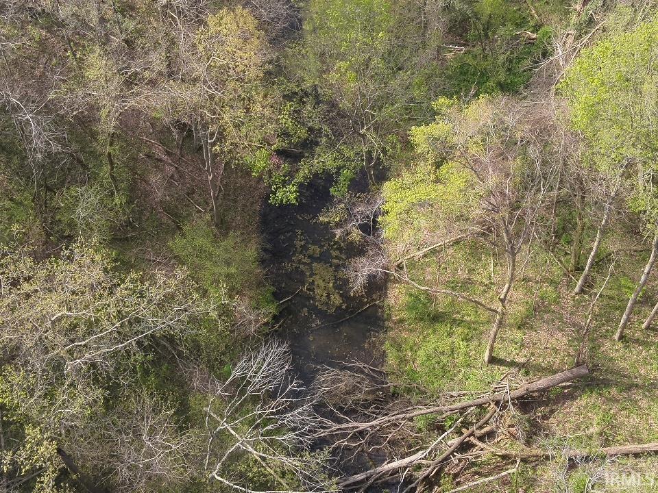 498 Dicksburg Hills Road Decker, IN 47524 - Photo 4 of 14