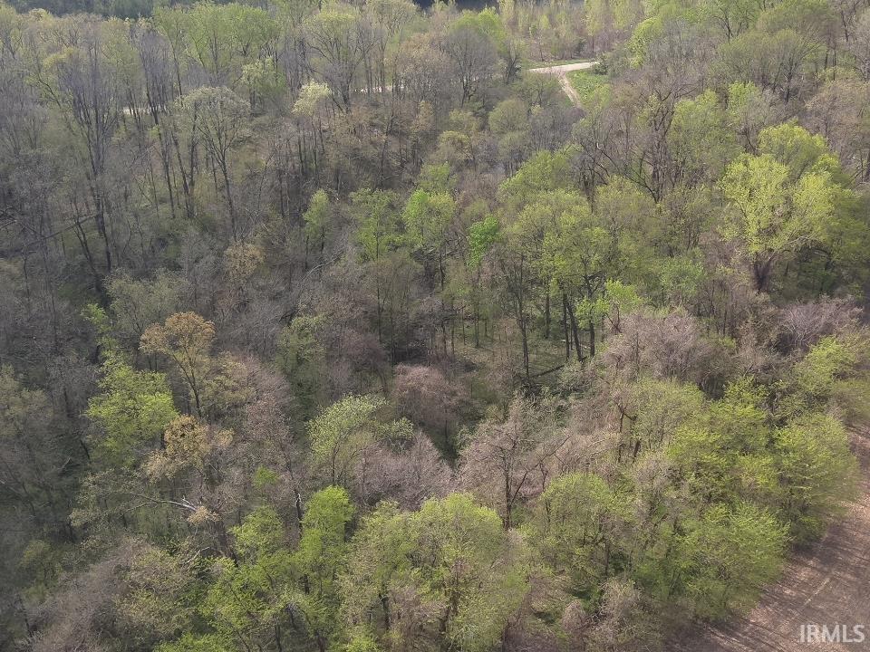 498 Dicksburg Hills Road Decker, IN 47524 - Photo 7 of 14