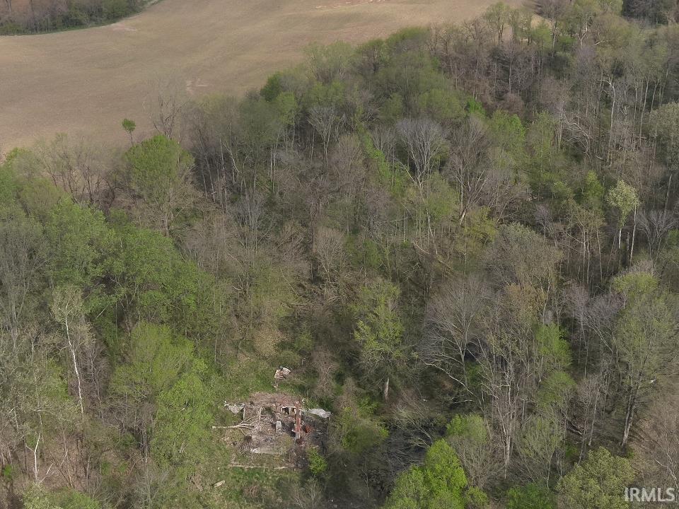 498 Dicksburg Hills Road Decker, IN 47524 - Photo 8 of 14