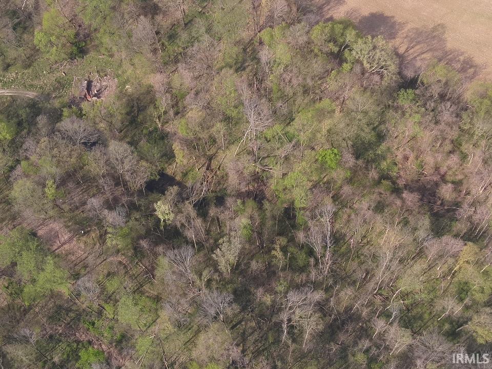498 Dicksburg Hills Road Decker, IN 47524 - Photo 9 of 14